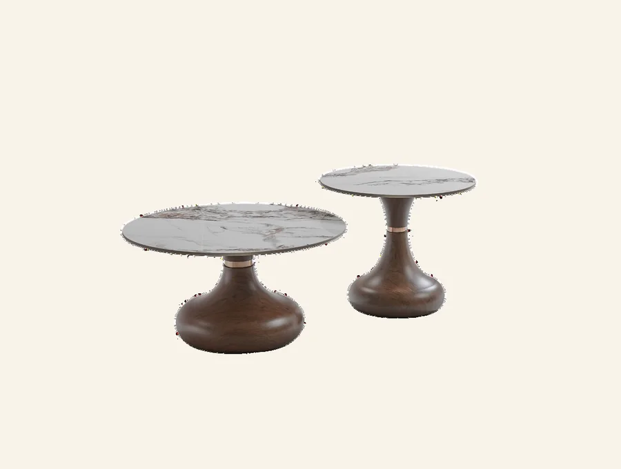 V05# Center Tables by Oberoi Living Interiors
